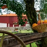 팜스테이 Quinta De Chousas - - 브라가