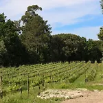 Quinta De Chousas - - 브라가