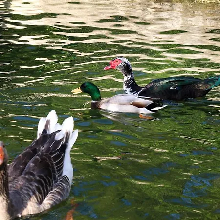 Quinta De Chousas - - Braga