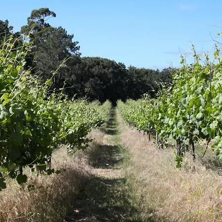 Vakantieboerderij Quinta De Chousas - - *