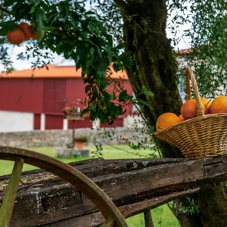 مزرعة للإقامة Quinta De Chousas - - براغا