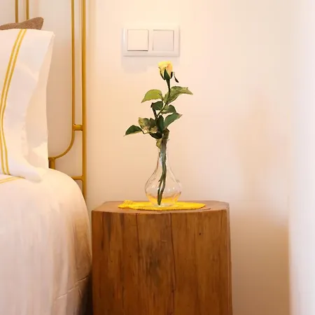 Quinta De Chousas - - مزرعة للإقامة *