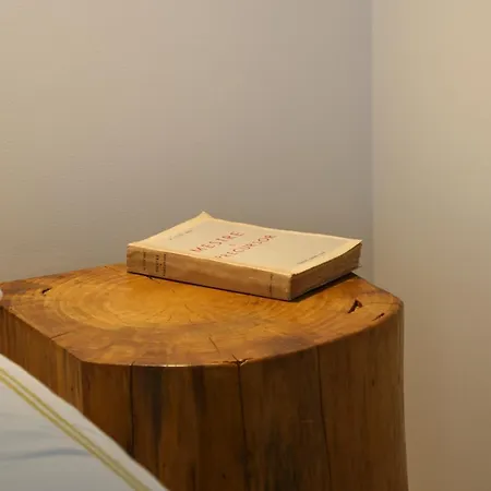 Quinta De Chousas - - Vakantieboerderij Braga