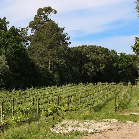 Quinta De Chousas - - 브라가