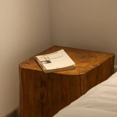 Quinta De Chousas - - Vakantieboerderij *