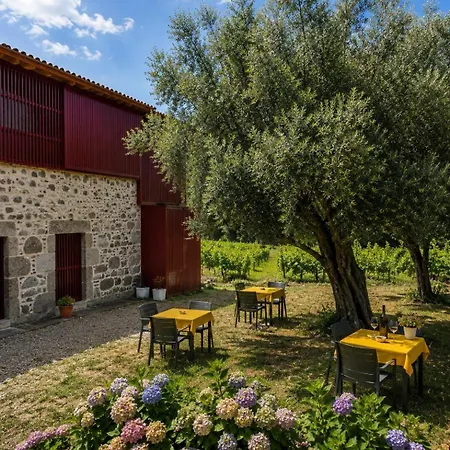 Quinta De Chousas - - Braga