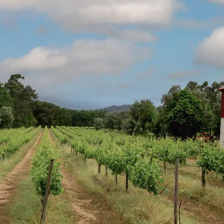 Quinta De Chousas - - * Braga