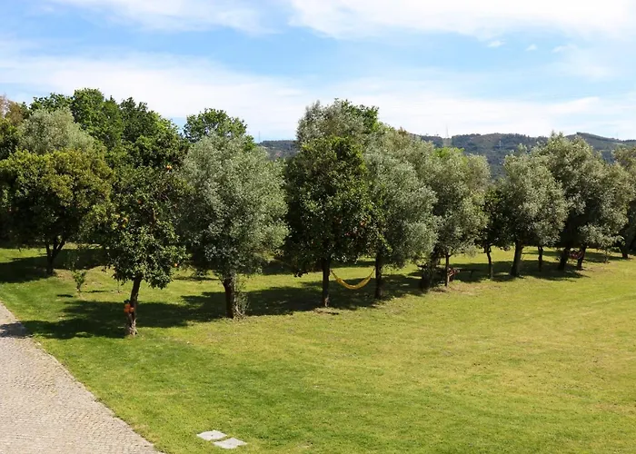 Vakantieboerderij Quinta De Chousas - - *