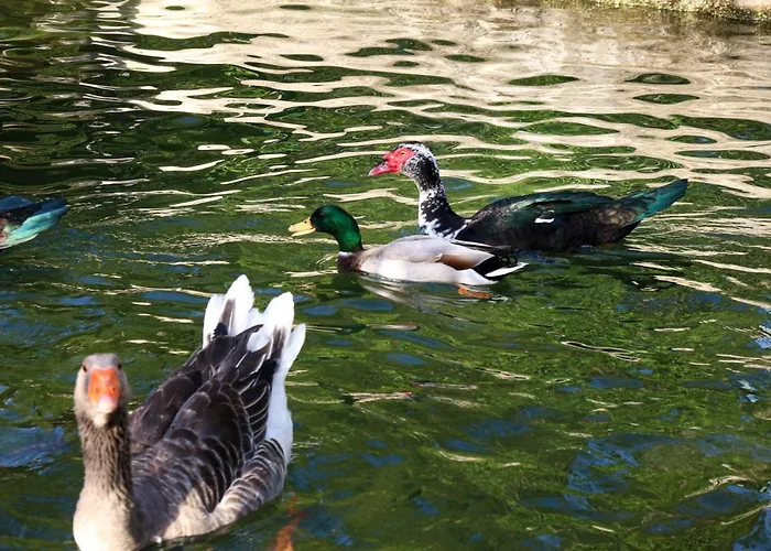 Quinta De Chousas - - Braga