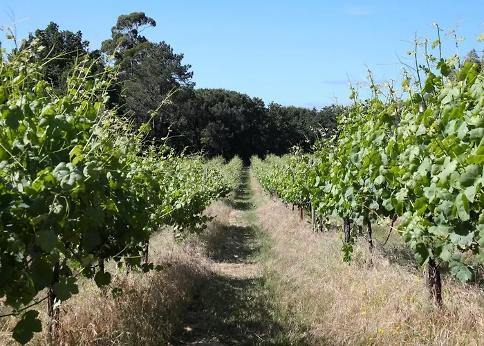 Bauernhof Quinta De Chousas - - *