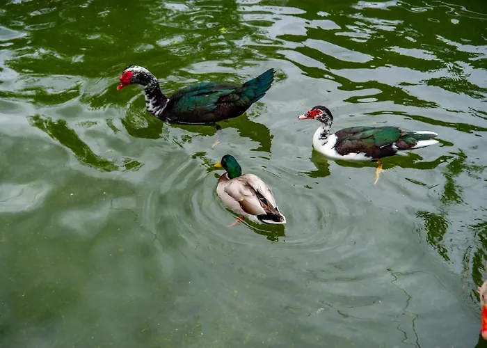 Quinta De Chousas - - Braga