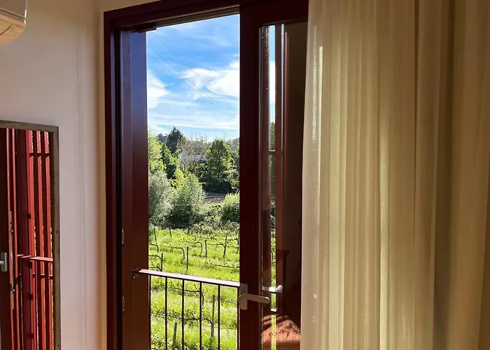 Quinta De Chousas - - Vakantieboerderij *